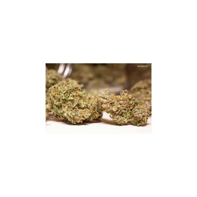 Lemon Kix Auto, Фасовка: 3, изображение 4